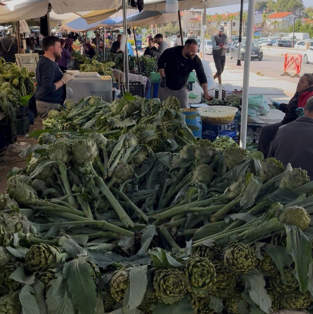 WhatsApp-Image-2026-04-13-at-02.03.30-1-1019x1024 URLA'DA ENGİNAR BEREKETİ